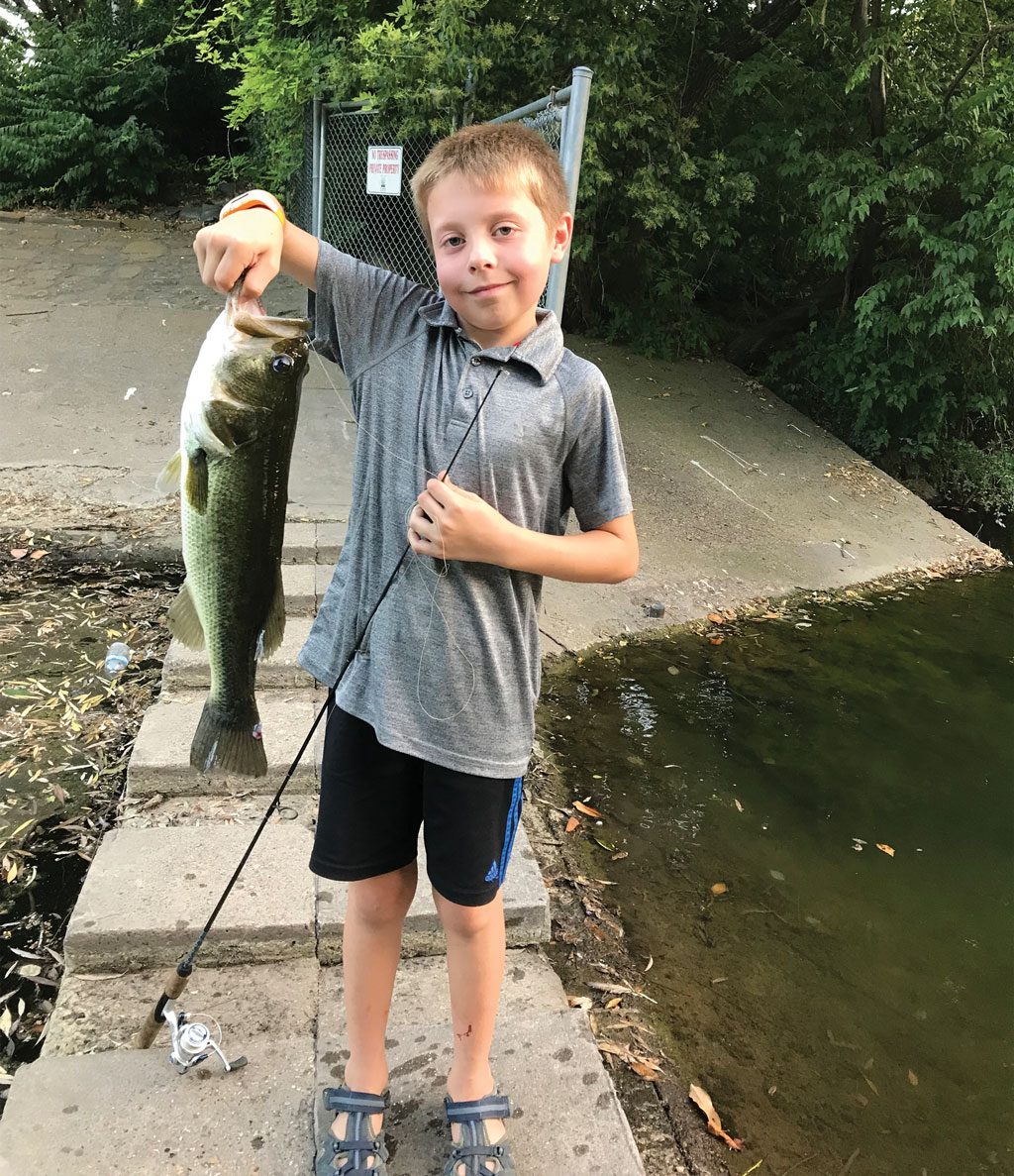 Bass farmers branch