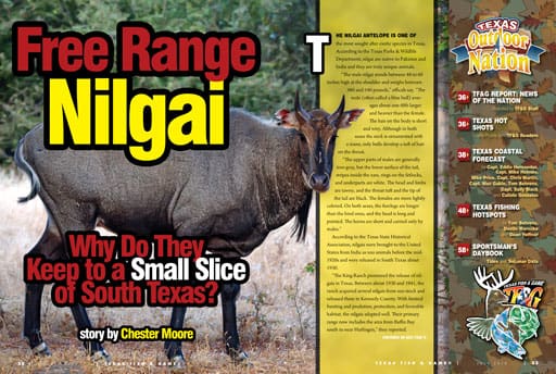 Nilgai story from April, 2018 issue of Texas Fish & Game