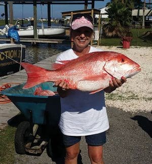 red snapper