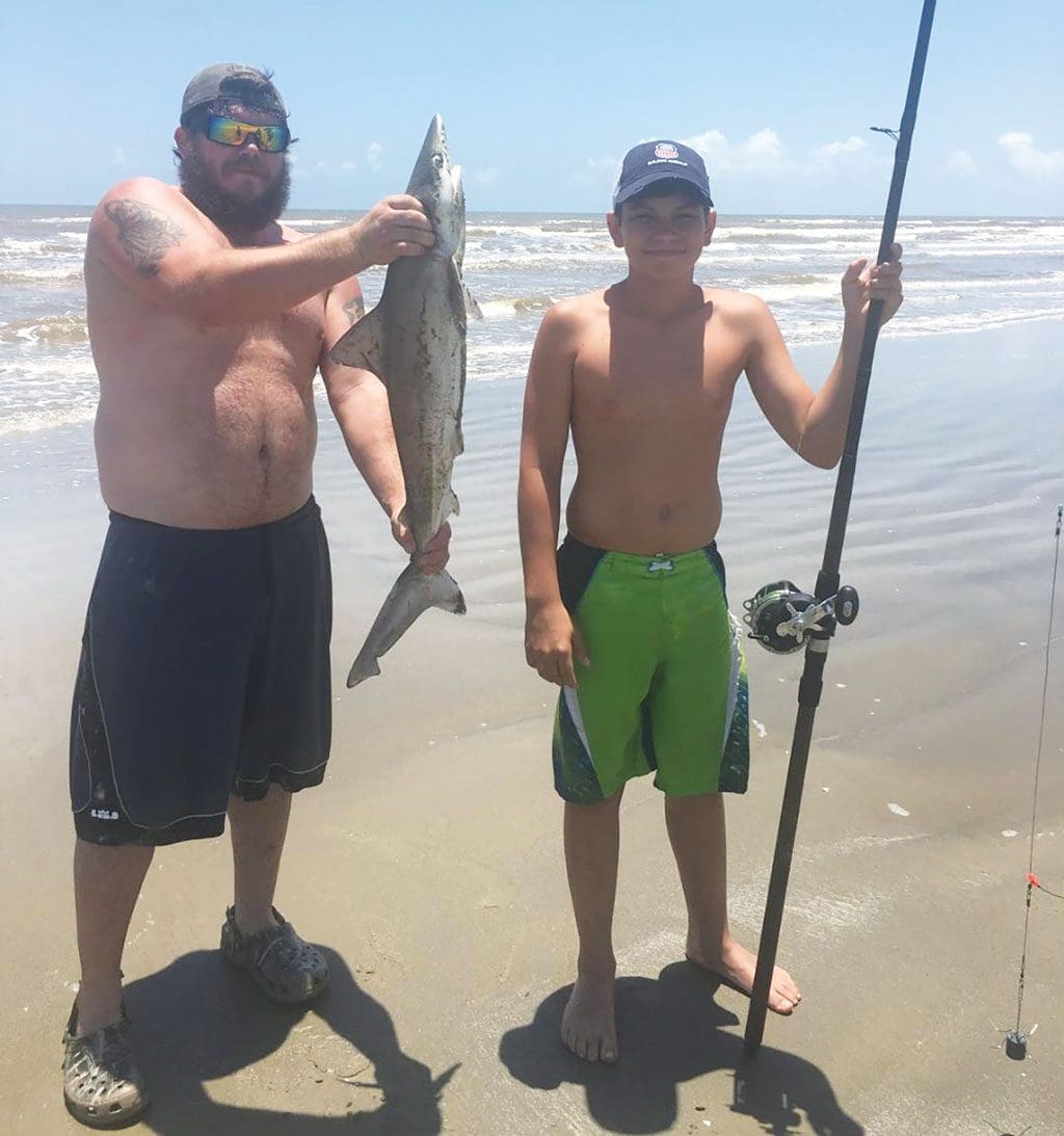 Surfside shark