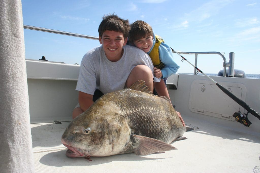 giant black drum