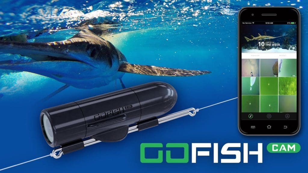 gofish cam