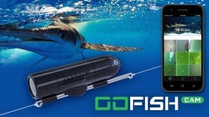 gofish cam