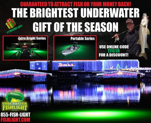 Underwater Fishlight