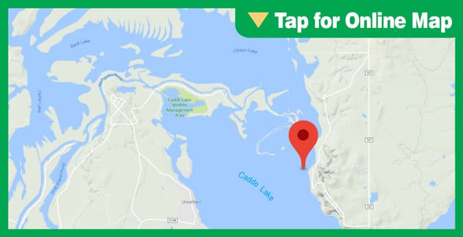 Caddo Lake HOTSPOT: Alligator Bayou
