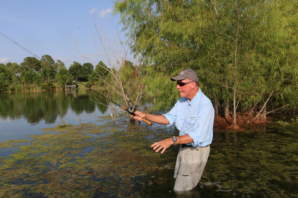 Wading is a good way for the bass angler to work beyond shoreline rims of grass or brush and reach open water.