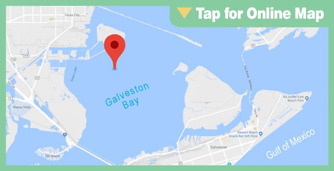 Galveston West Bay HOTSPOT: Campbell Reef
