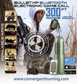 Convergent Hunting