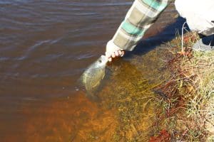 pond fishing for crappie