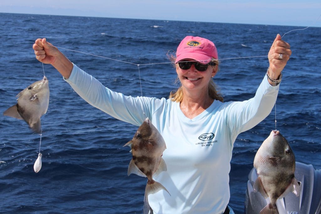 triggerfish fishing