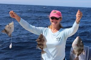triggerfish fishing