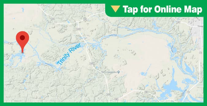 Lake Livingston HOTSPOT: Bedias Creek