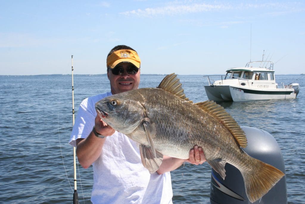 lures for fish