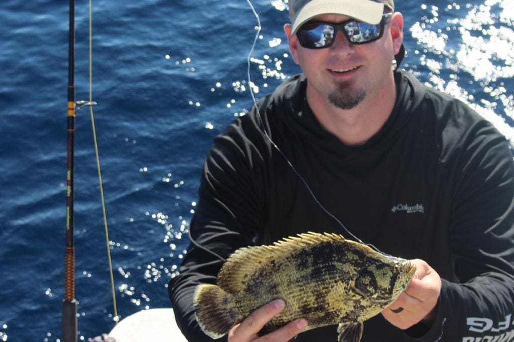 fishing for tripletail