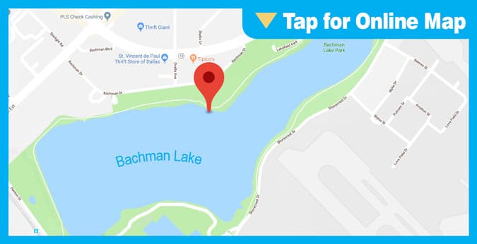 Bachman Lake