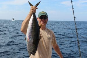 jigging for tuna
