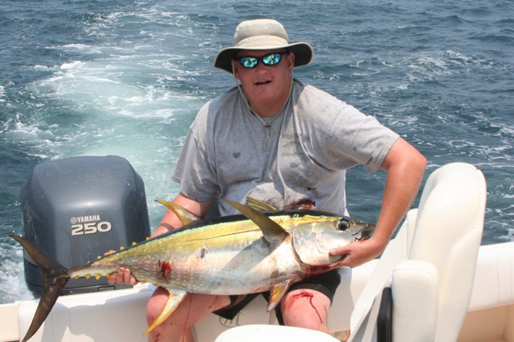 yellowfin tuna
