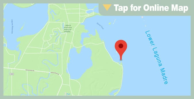 Lower Laguna Madre