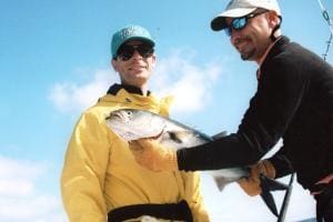 fishing for bluefish