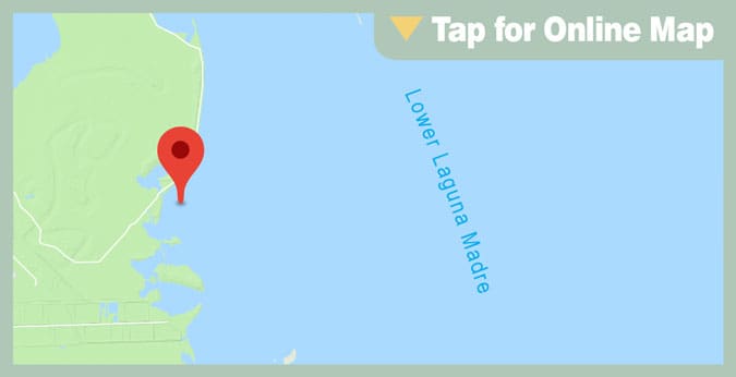 Lower Laguna Madre
