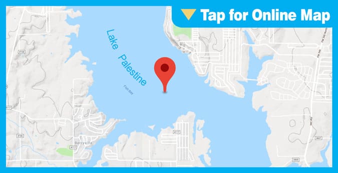 Lake Palestine: Fish Bay