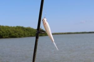 loop knot in fishing line