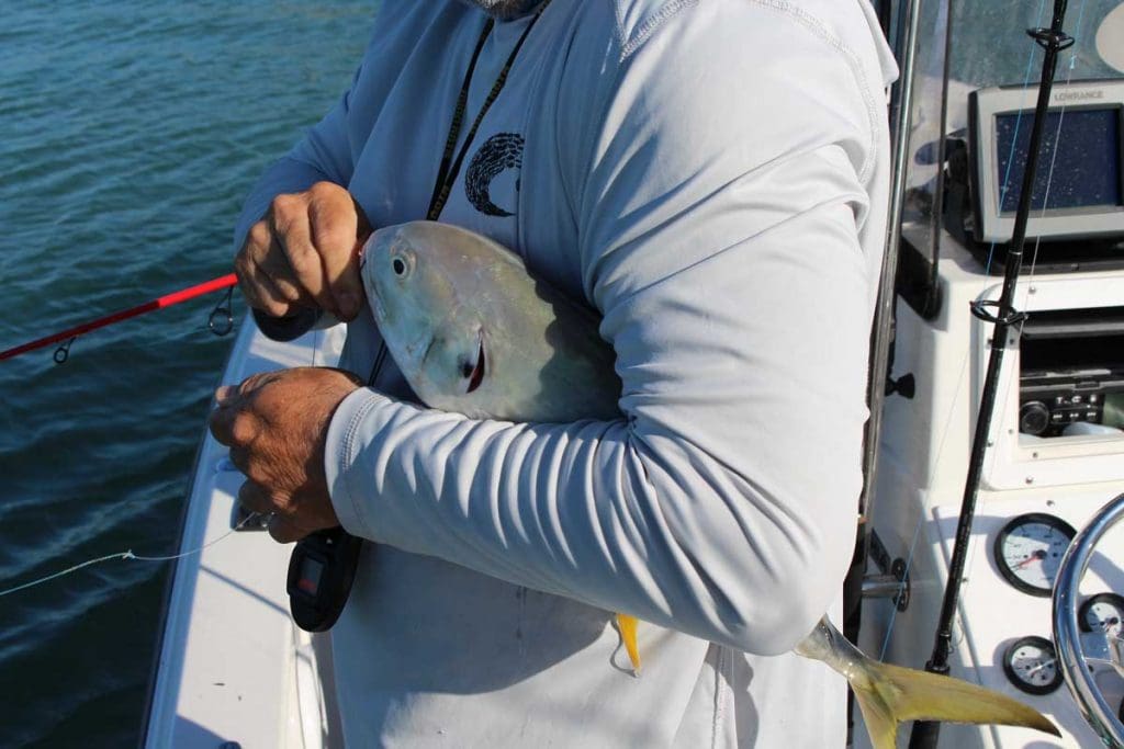 jack crevalle fishing