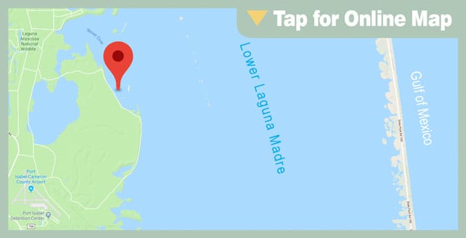 Lower Laguna Madre