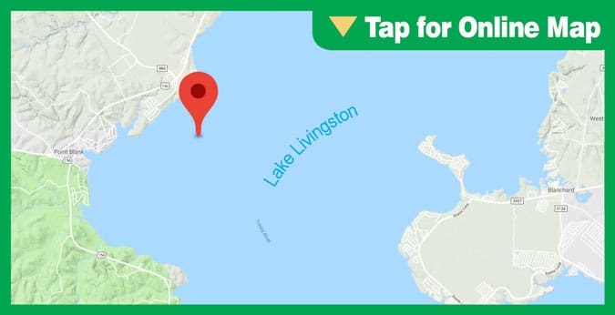Lake Livingston