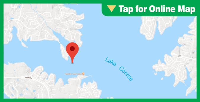 Lake Conroe