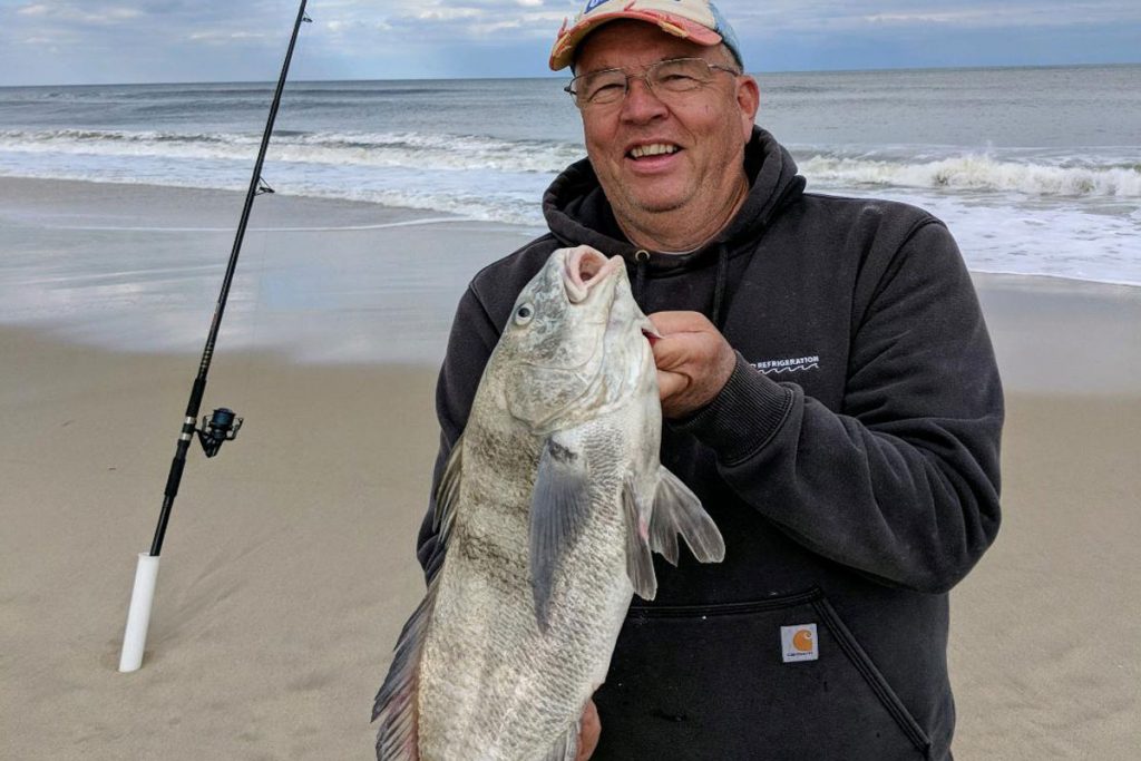 black drum fishing in the surf