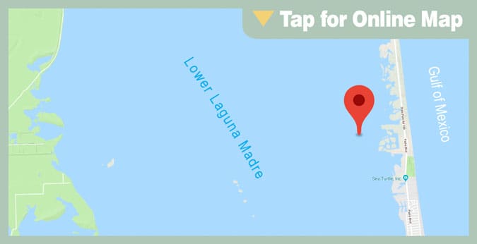 Lower Laguna Madre