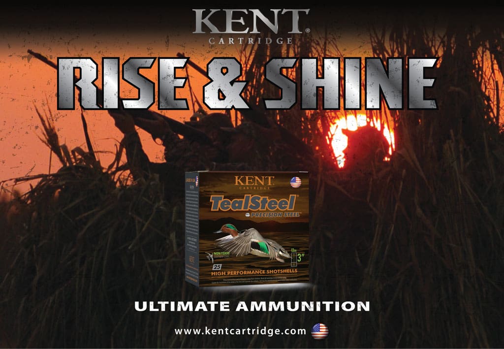 Kent Cartridge