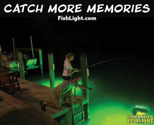 Underwater Fishlight