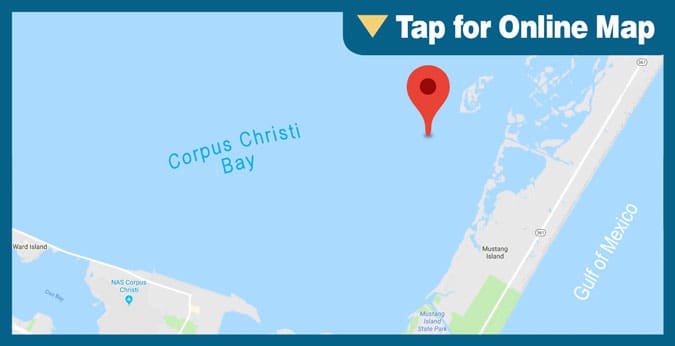 Corpus Christi Bay