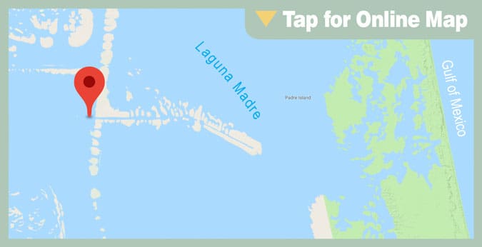 Lower Laguna Madre