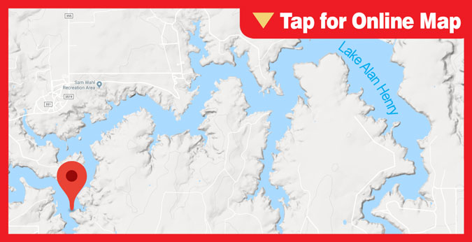 Lake Alan Henry