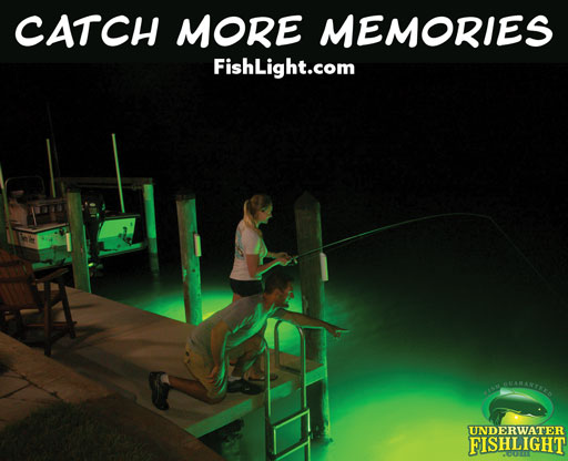 Underwater Fish Light