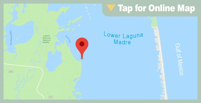 Lower Laguna Madre