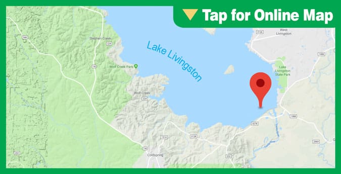 Lake Livingston