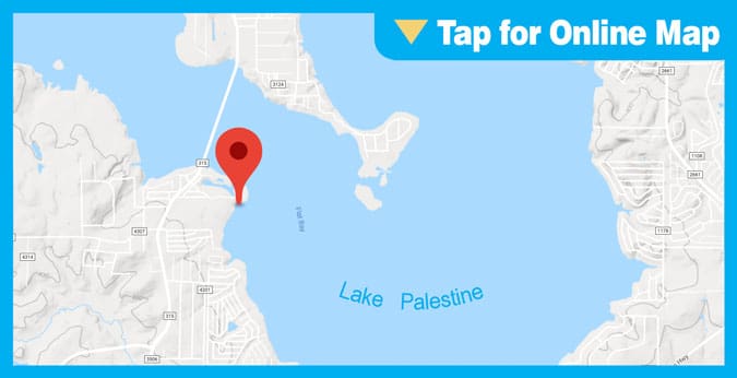 Lake Palestine