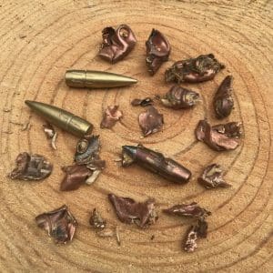 Recovered bullets and pieces from the tree