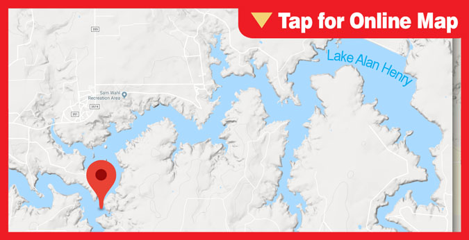 Lake Alan Henry