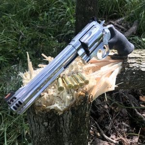 Tree shot down