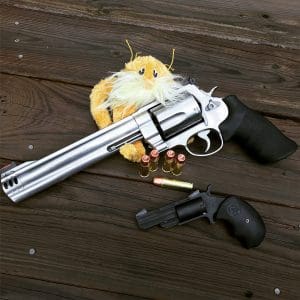 500 vs .22Mag