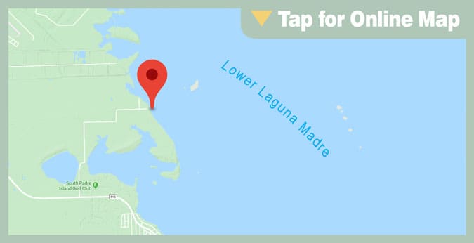 Lower Laguna Madre