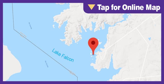 Falcon Lake