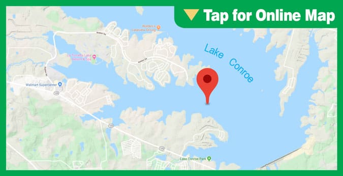 Lake Conroe