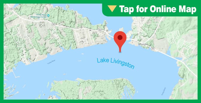 Lake Livingston
