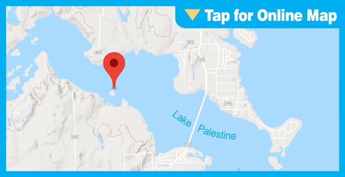 Lake Palestine